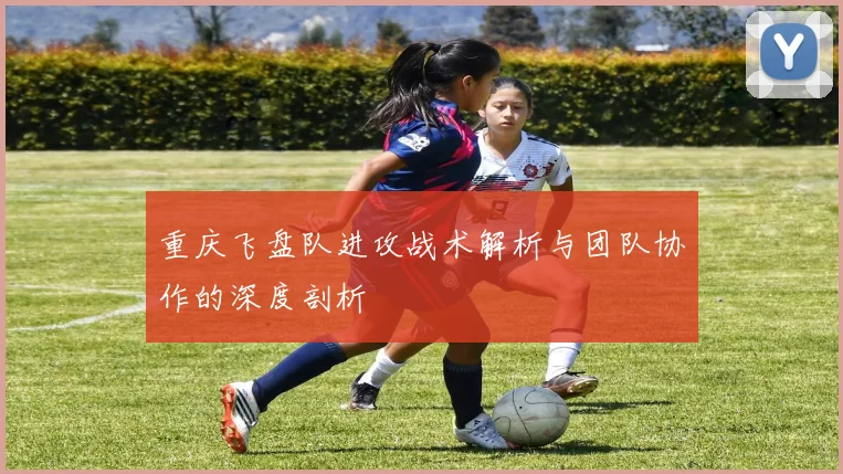 重庆飞盘队进攻战术解析与团队协作的深度剖析